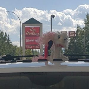 Meet your Posher, Michelle